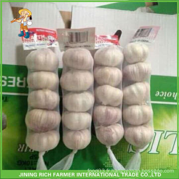 Fresh Style New Crop Ail frais Ail pourpre 5.0 cm Sac 5pcs / Mesh